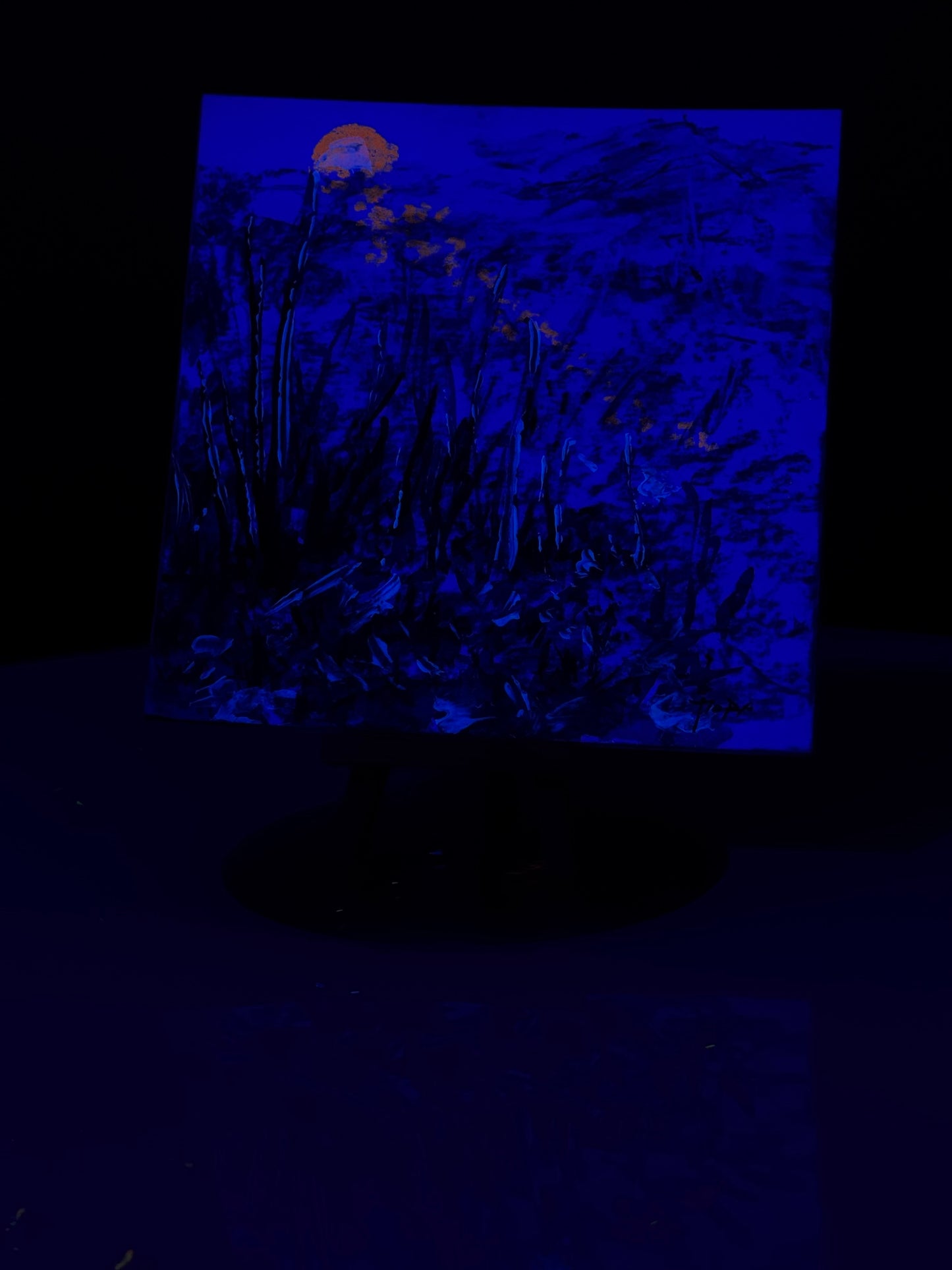 NOCDIURNE 0019