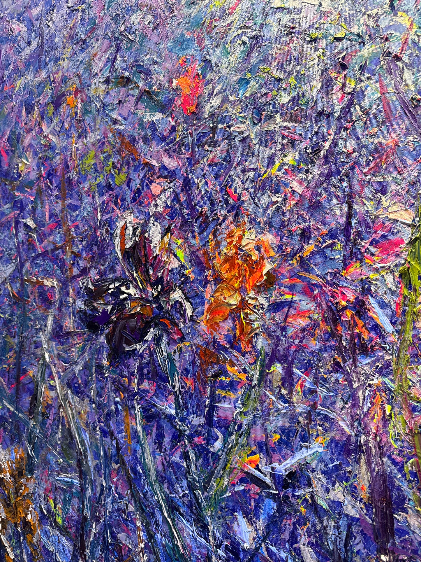Clairière aux Iris