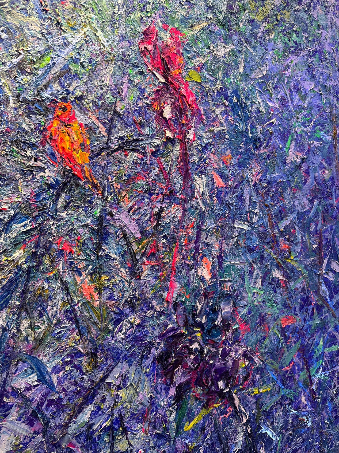 Clairière aux Iris