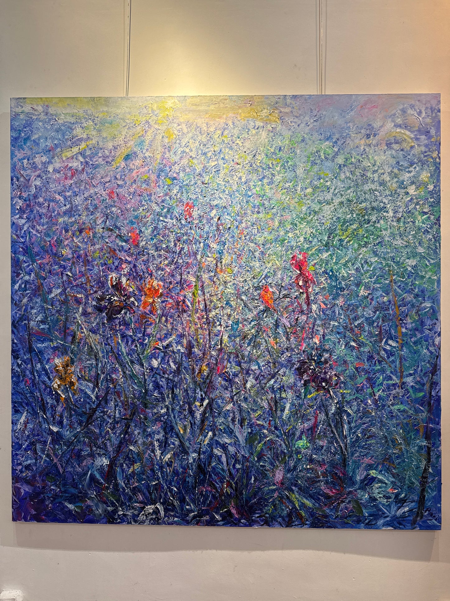 Clairière aux Iris