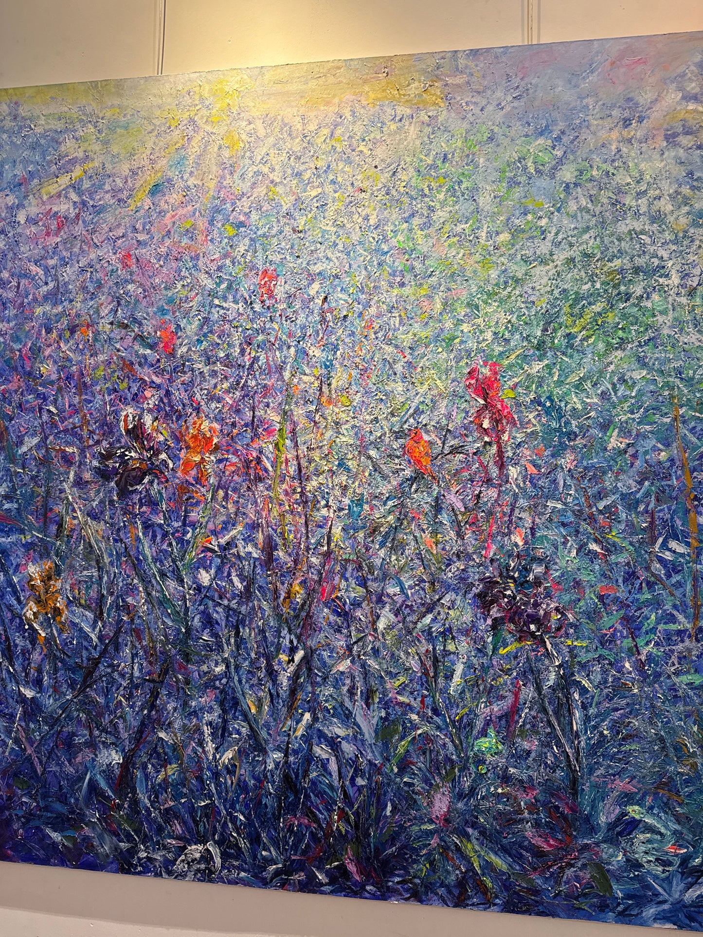 Clairière aux Iris