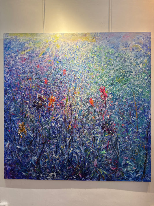 Clairière aux Iris